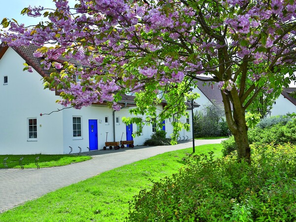 Vorschaubild für AWO SANO Familienferiendorf Rerik